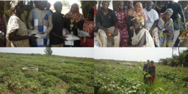JOYE supports gardeners with seeds