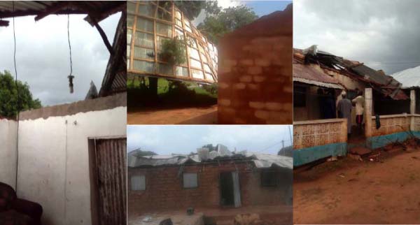 Kani-kunda Needs Bailout