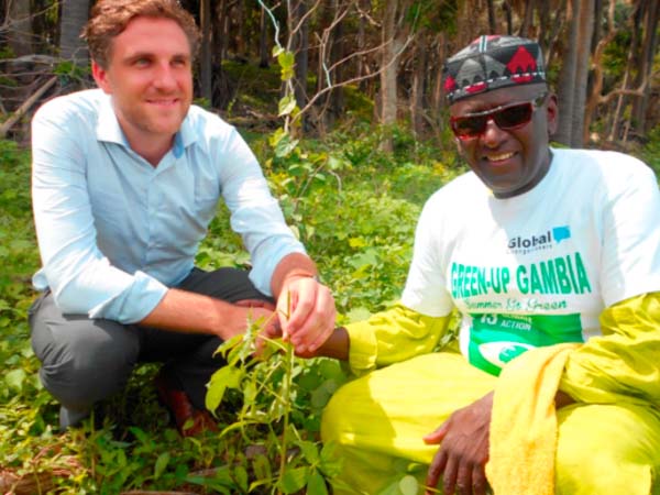 MSC, timber dealers reassure support for restoration of forest cover