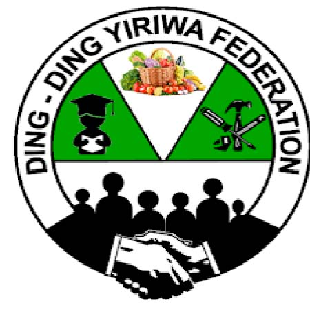 Ding Ding Wiriya train clusters on disaster risk management