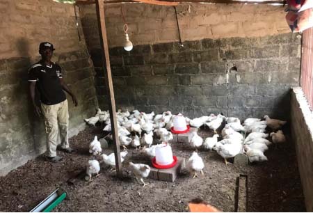 Brikama youth excels in poultry business