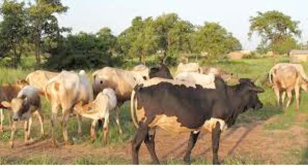 URR Communities say blockage of waterways is affecting livestock 