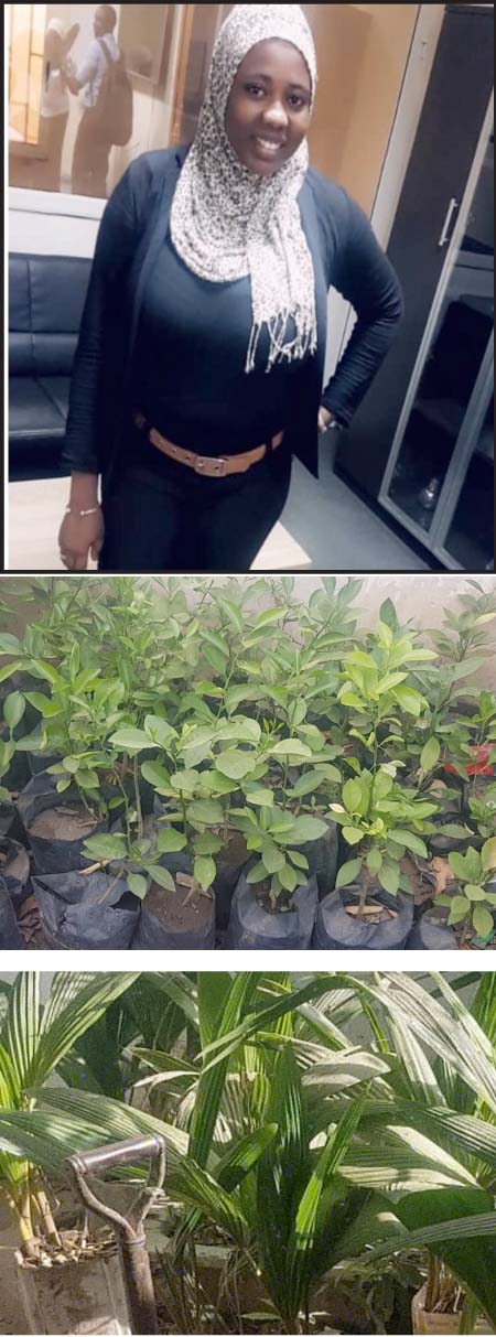 Youth Forum:Serrekunda young lady endeavouring into seedling preparation, selling 