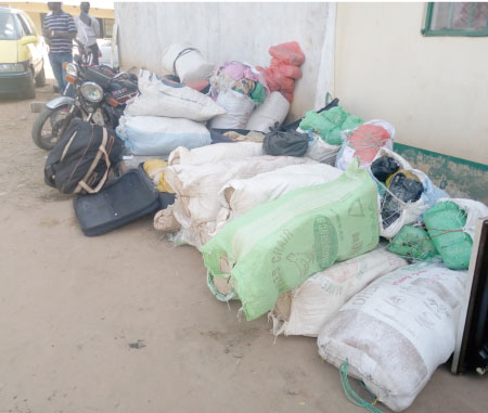 DLEAG arrests 30 suspects with over 240kg of cannabis