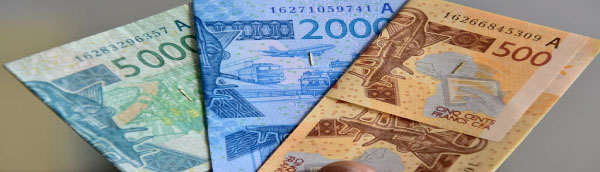 6 African countries concern over changing CFA to Eco