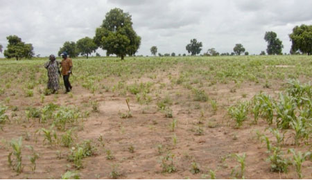 Agriculture as a vehicle for economic development (Part one)
