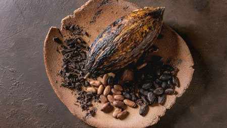 La Gambie peut-elle produire du cacao?