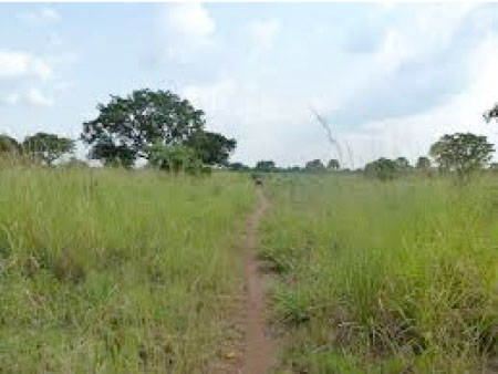 COMMENTARY: Cartographic activities in The Gambia 1905 – 1969