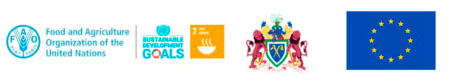 FAO marks the launch of the UN’s decade of Action 2020-2030 and UN75 with a handover ceremony of equipment to various departments and institutions under the Ministry of Agriculture.