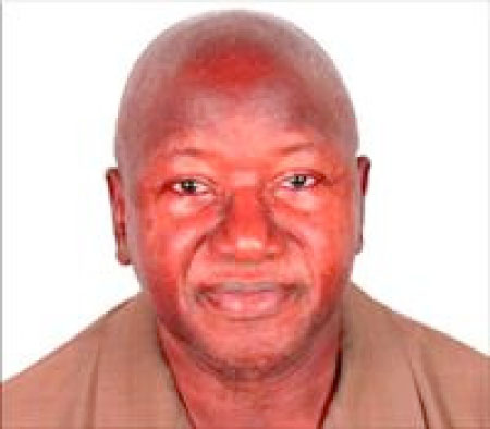 OPINION: Alliance and Coalition Politics in The Gambia1960-2016: A Preliminary Analytical Survey