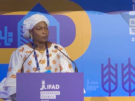 Agric minister briefs IFAD on the status of Gambian Agriculture