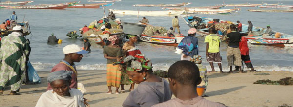 Young Gambian making wave in fishing sector
