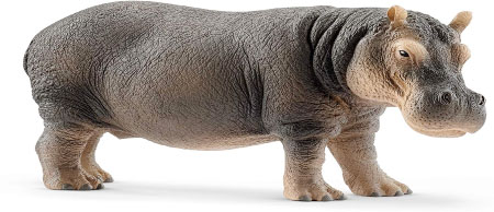 Kundang fumes over hippos’ invasion 