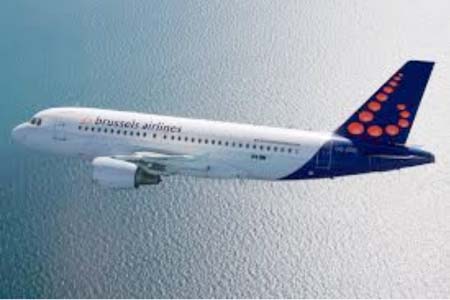 Brussels suspends flights