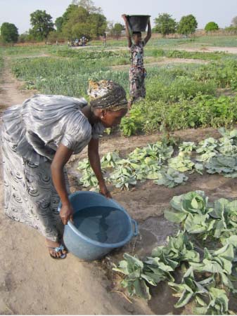 New Jeshwang women gardeners face land tussle
