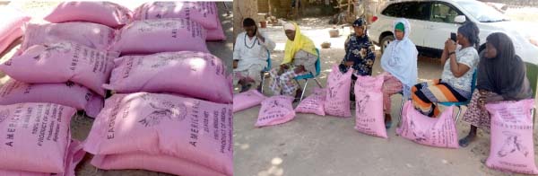 Bully Mobile Shop donates bags of rice to disadvantaged communities in WCR to fight covid-19 pandemic