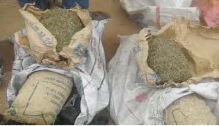 Narcotics officer arrested with 4 bags of suspected cannabis