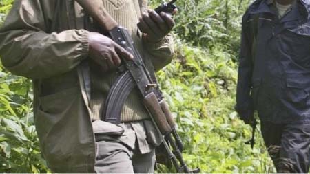 French:Le parc national des Virunga, en RDC, frappé par l’attaque la plus meurtrière